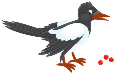 Magpie