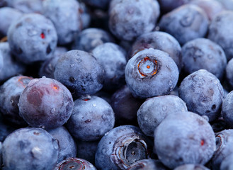 blueberry