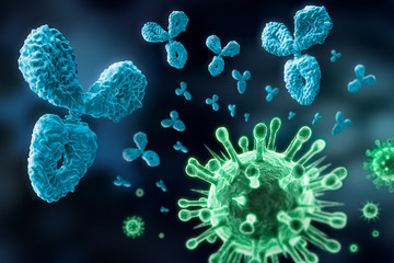 Antikörper und Viren