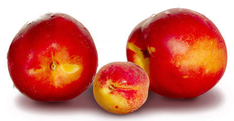 nectarines and apricot