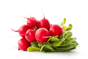 bunch of fresh red radishes
