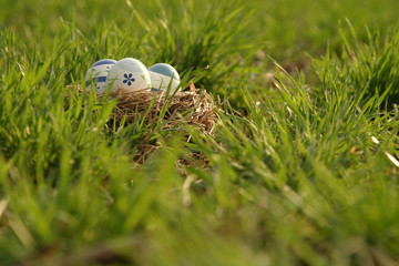 Osternest mit drei bemalten Ostereiern, versteckt im Gras