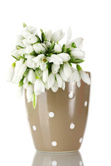 beautiful bouquet of snowdrops in brown vase isolated on white