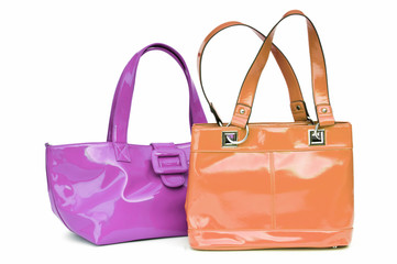 Elegant woman bag on white