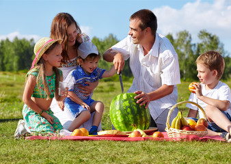 family picnic in park