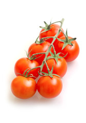 tomato