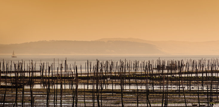 Parc &agrave; huitres sur le bassin d'Arcachon