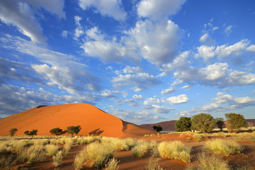Desert landscape, Sossusvlei, Namibia - obrazy, fototapety, plakaty