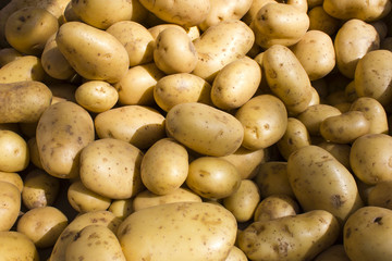 marché pommes de terre market potatoes paris 2