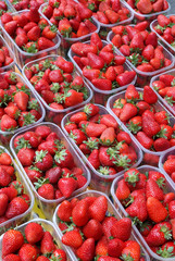 étalage fruit et légume du marché
