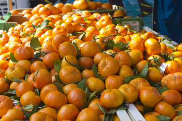 marché clémentines market fresh clementine paris