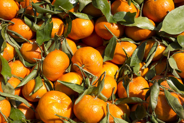 marché clémentines market fresh clementine paris 2