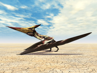 Pteranodon © Michael Rosskothen