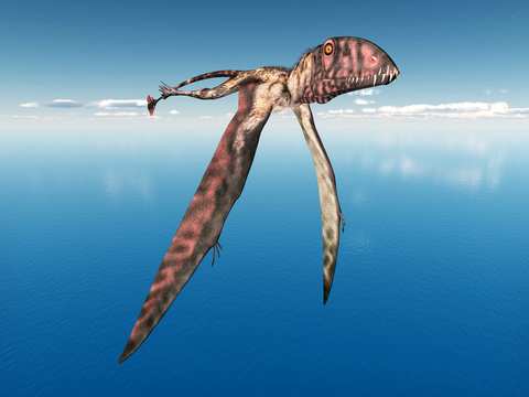 Flying Dinosaur Dimorphodon
