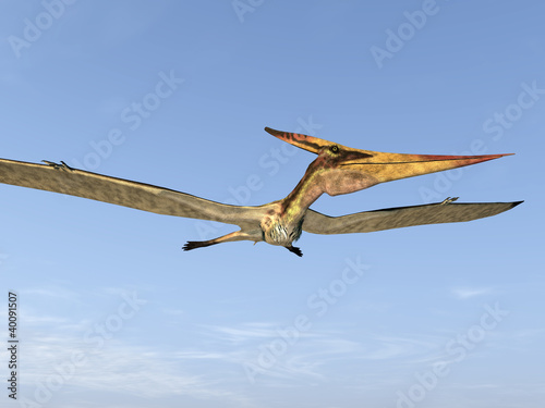 "Fliegender Dinosaurier Pteranodon" Stockfotos und lizenzfreie Bilder