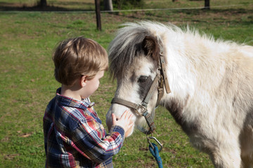 boy and his pony