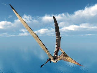 Fliegender Dinosaurier Pteranodon © Michael Rosskothen
