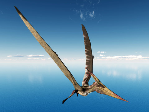 Flying Dinosaur Pteranodon