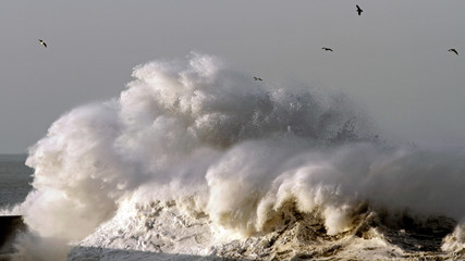 Stormy waves