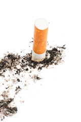 cigarette butt on white
