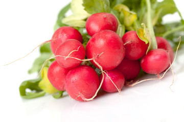 Radish with leaf