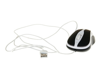 Obraz premium Mouse