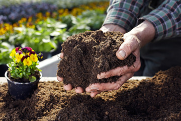 the hands of the gardener