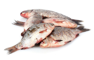 Fresh fishes isolated on white