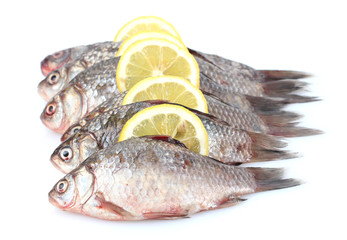 Fresh fishes with lemon isolated on white