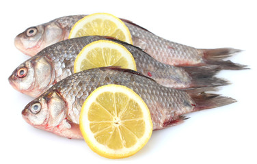 Fresh fishes with lemon isolated on white