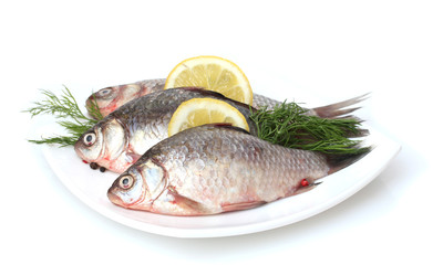 Fresh fishes with lemon and dill on plate isolated on white