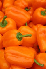 Orange peppers at the market