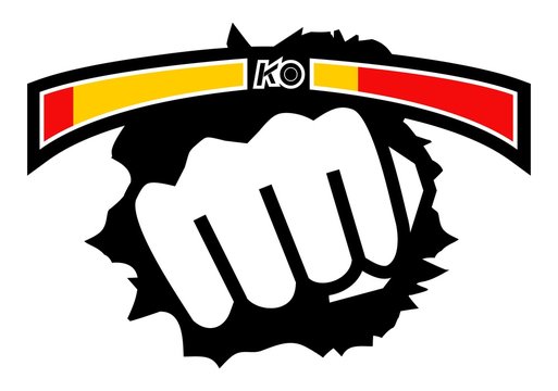 Juego de lucha