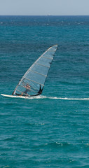 Surfer