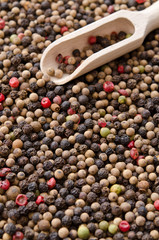 Pile of mixed peppercorns with a spice scoop