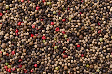 Pile of mixed peppercorns forming an even surface.