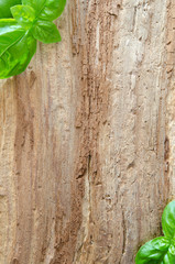 Basil leaves framing a rough wooden surface