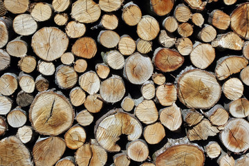 Bois, pile de bois de chauffage