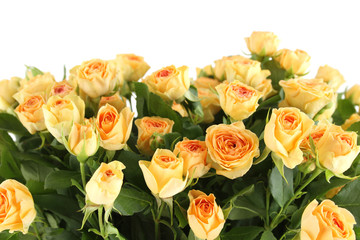 Yellow roses