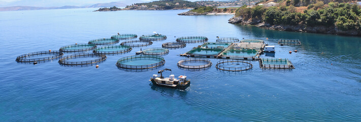 Fish farm Panorama