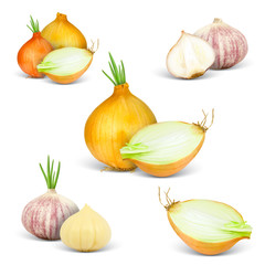 Collection of onion isolated on white
