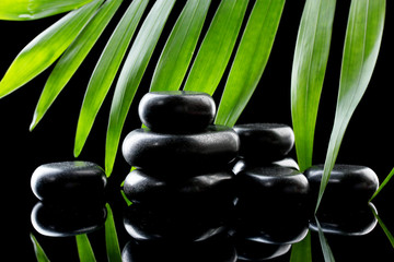 Fototapeta na wymiar Spa stones and green palm leaf on black background