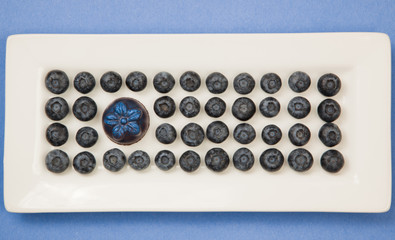 Blueberries and Chocolate