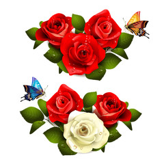 Roses with butterflies on white background