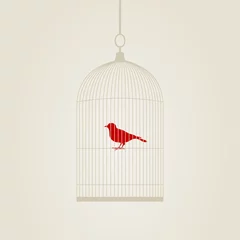 Peel and stick wall murals Birds in cages Birdie in a cage