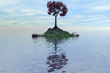 Island with a tree1