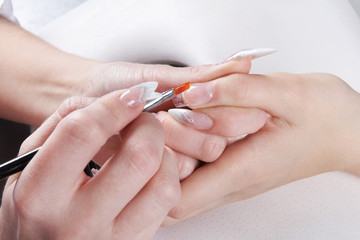 Manicure. Master make nail extension