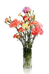 colorful flowers of carnation in glass vase on white