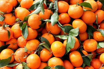 freshly picked tangerines