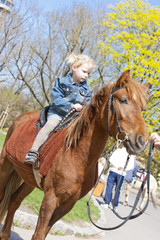 Obraz premium little girl on horseback